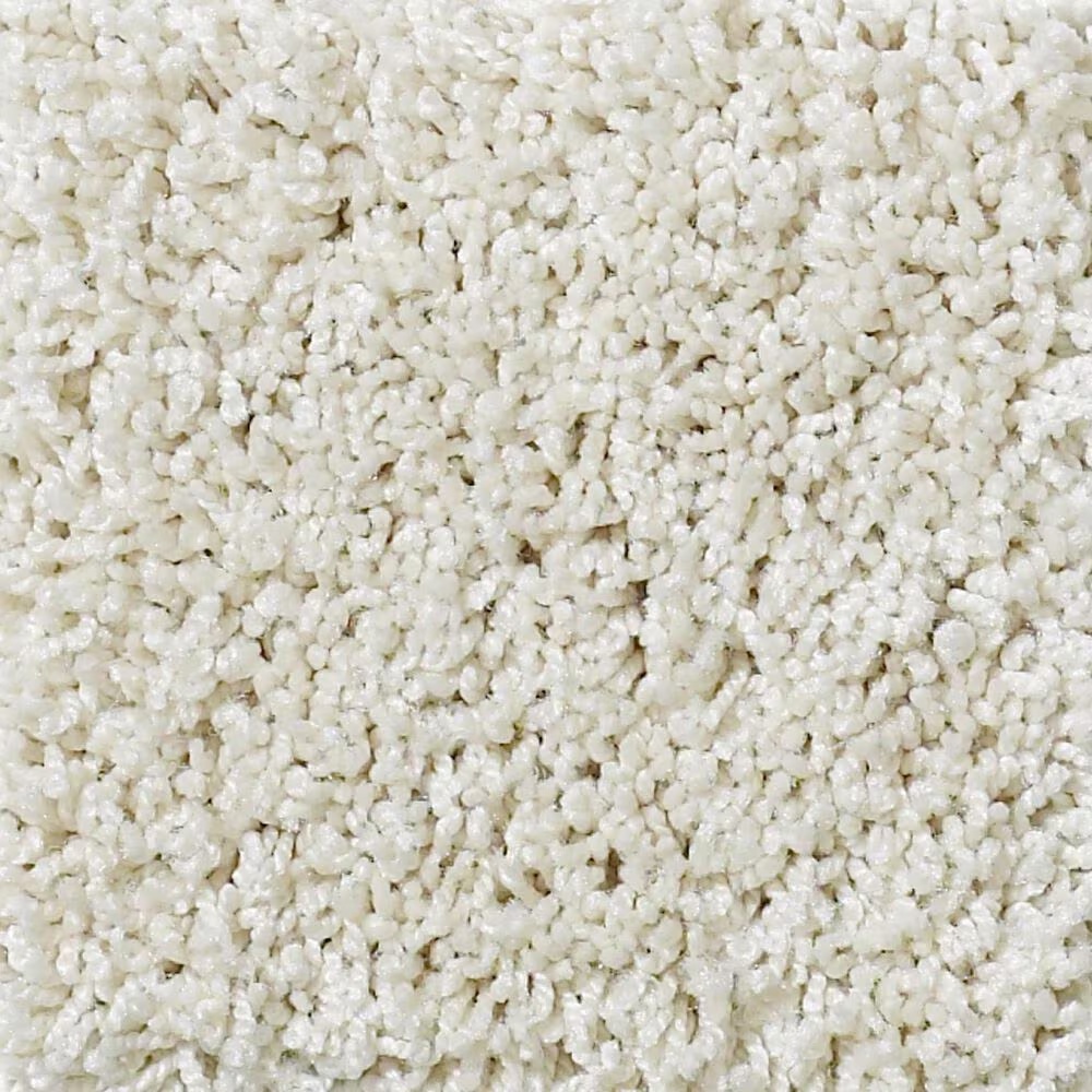 Shaw Foundations Take The Floor Twist I Carpet in Modest