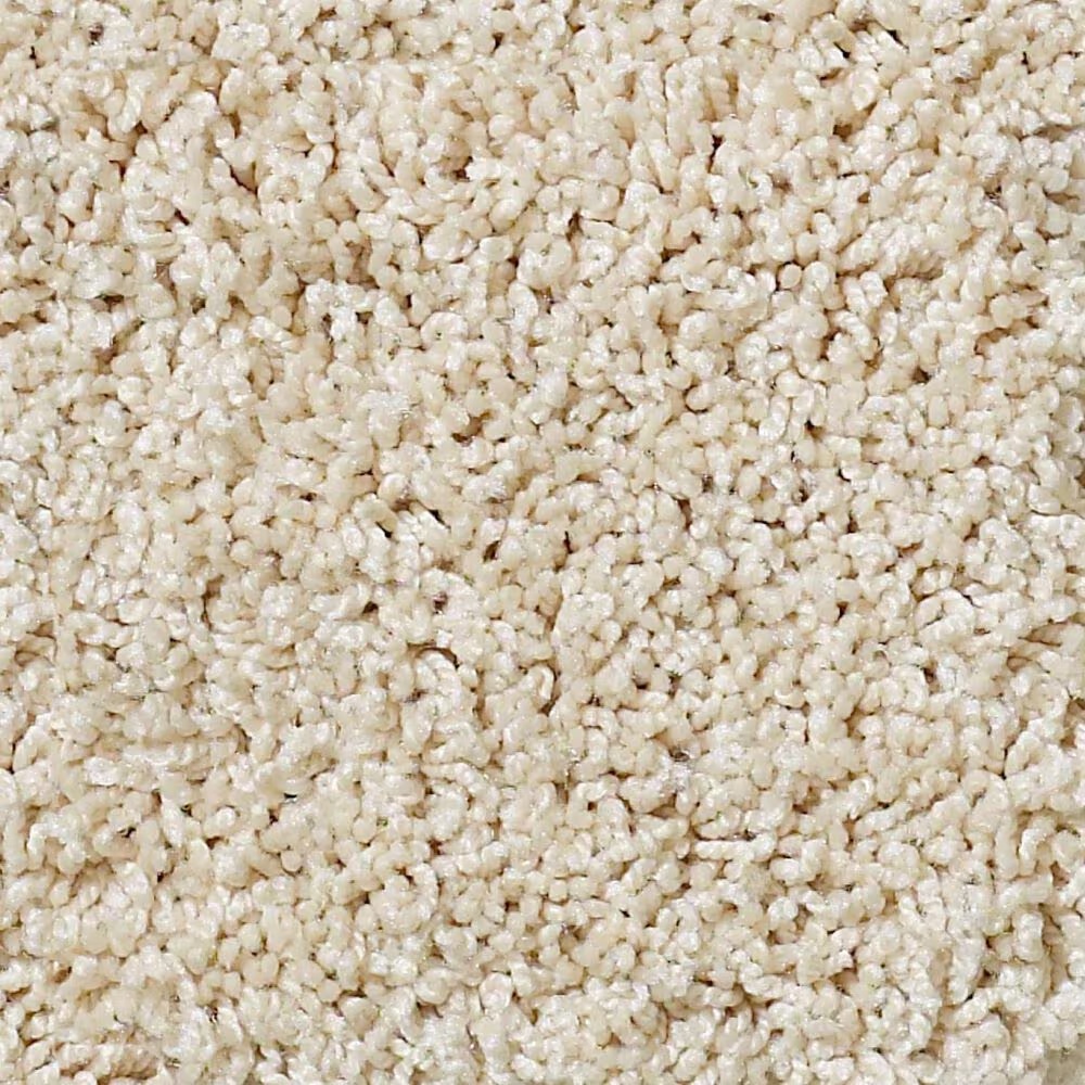 Shaw Foundations Take The Floor Twist I Carpet in Toasted