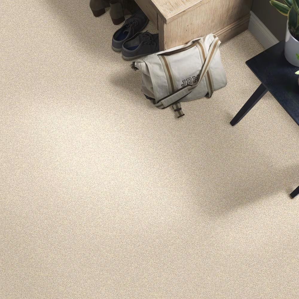 37610-shaw-foundations-take-the-floor-twist-i-carpet-in-toasted-1.jpg