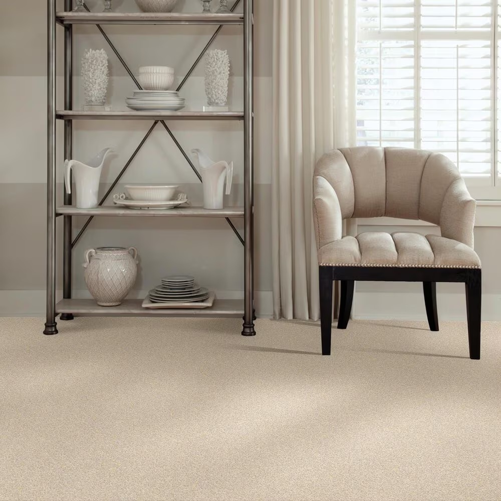 37610-shaw-foundations-take-the-floor-twist-i-carpet-in-toasted-1.jpg
