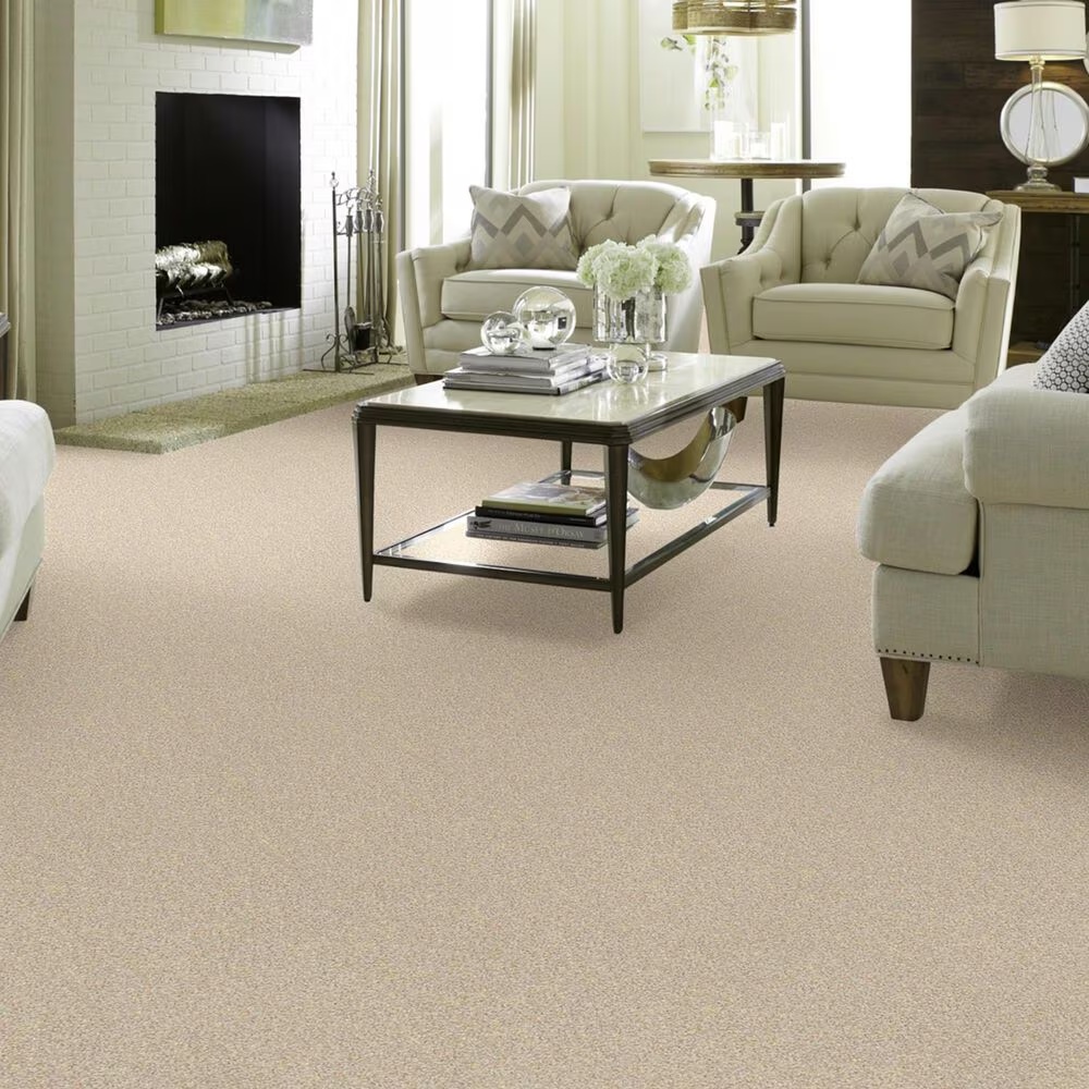 37610-shaw-foundations-take-the-floor-twist-i-carpet-in-toasted-1.jpg