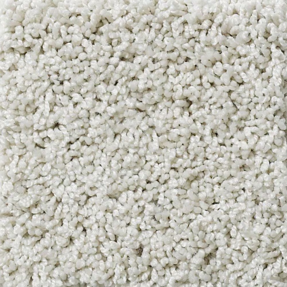 Shaw Foundations Take The Floor Twist I Carpet in Alpaca