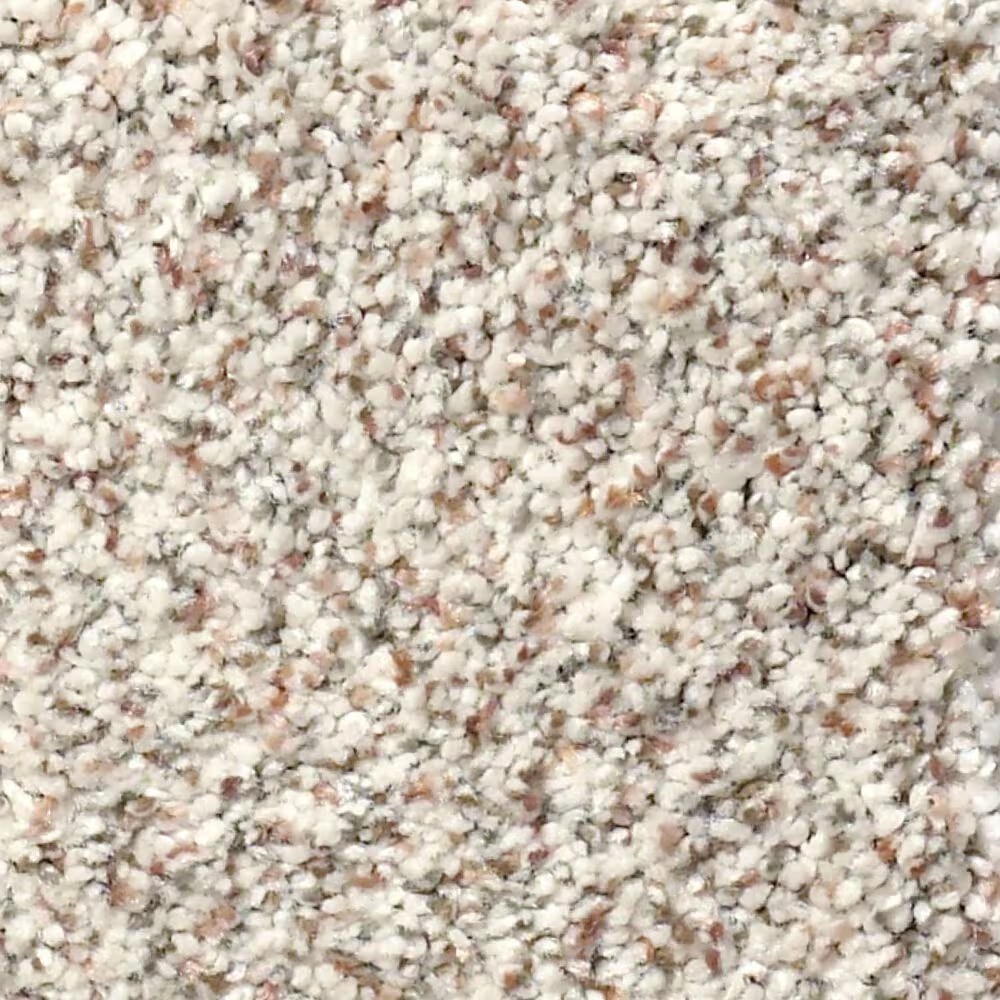 Shaw Find Your Comfort TA I Carpet in New Perspective