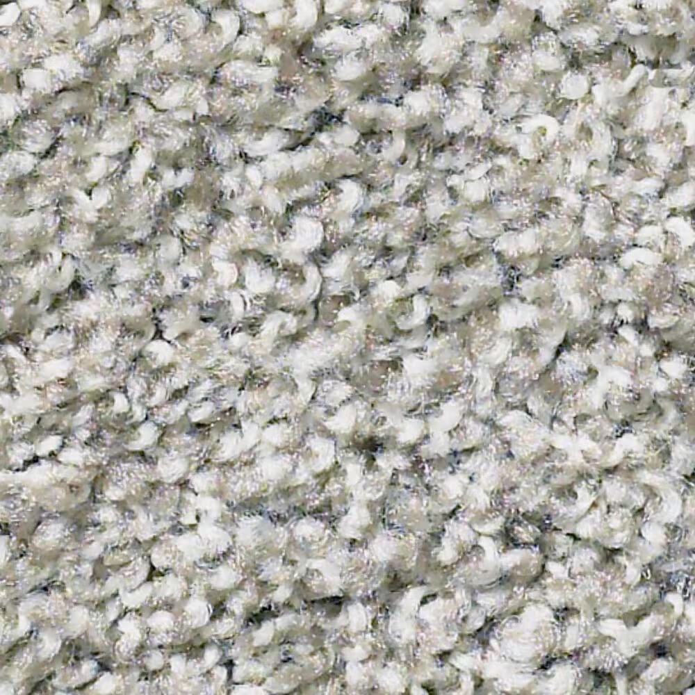 Shaw Poised Carpet in Great Greige