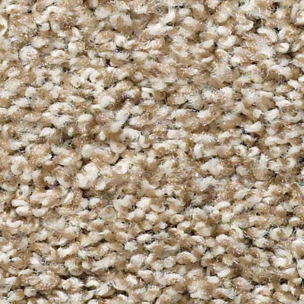 Shaw Poised Carpet in Artisan