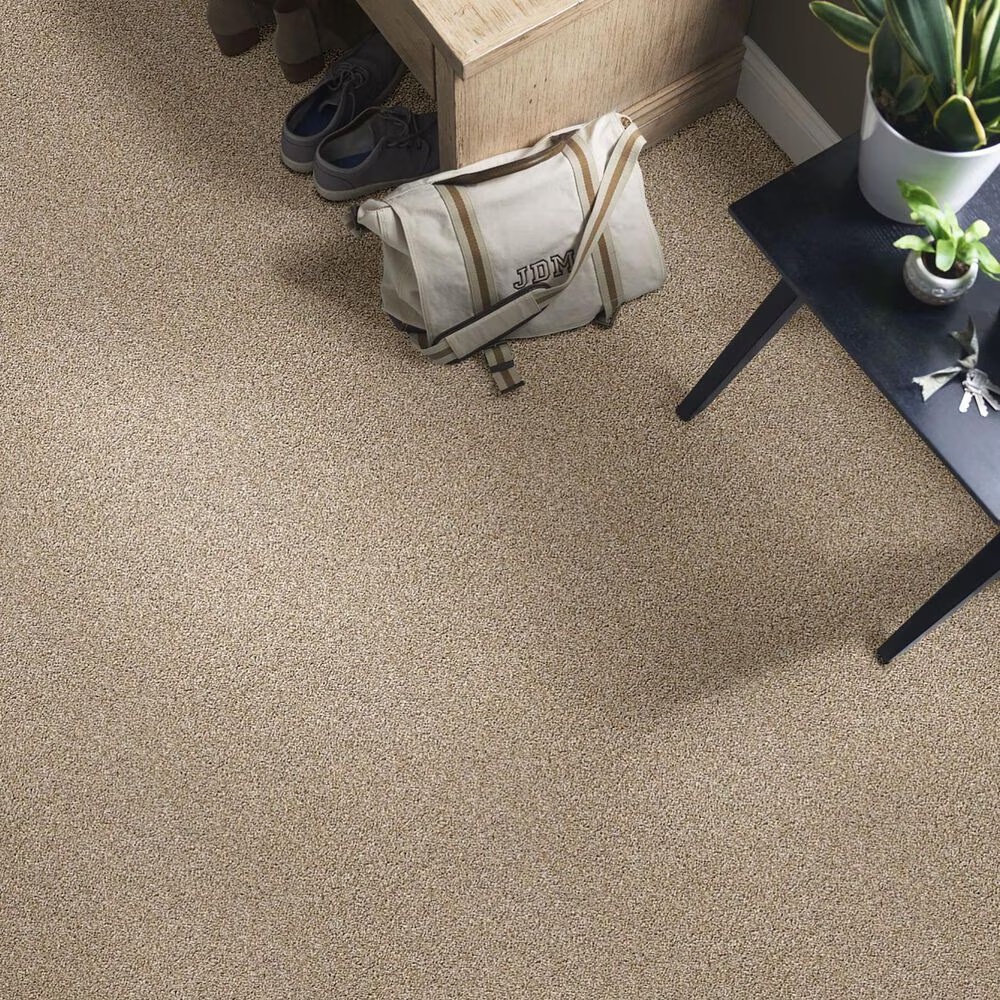 37617-shaw-poised-carpet-in-artisan-1.jpg
