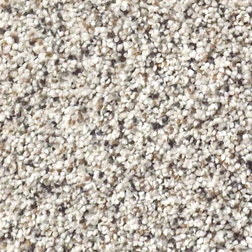 Shaw Foundations Take The Floor Accent II Carpet in Italiano