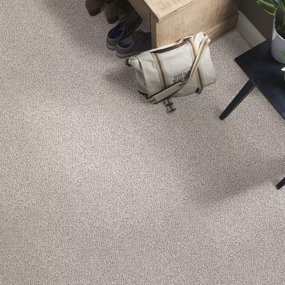 37619-shaw-foundations-take-the-floor-accent-ii-carpet-in-italiano-1.jpg