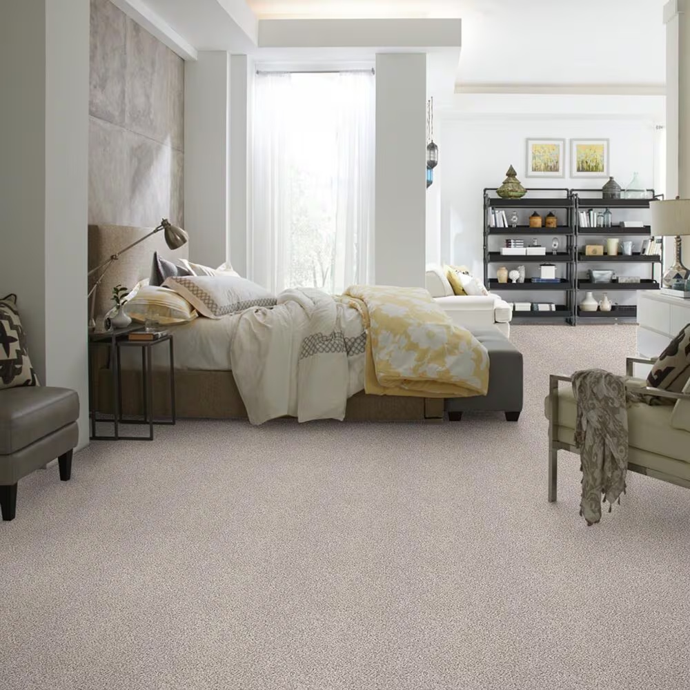 37619-shaw-foundations-take-the-floor-accent-ii-carpet-in-italiano-1.jpg