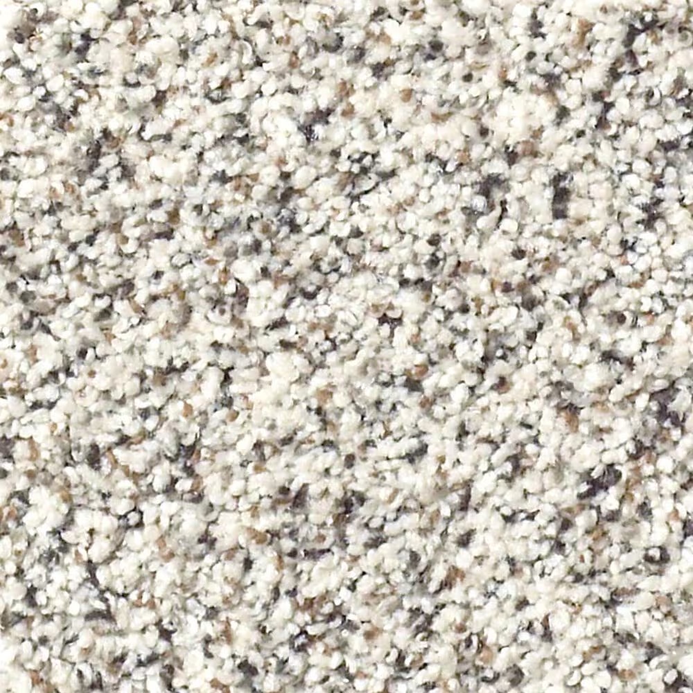 Shaw Foundations Take The Floor Accent II Carpet in Avalanche