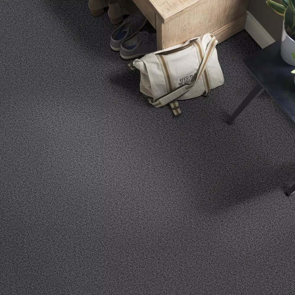 37621-shaw-foundations-take-the-floor-twist-i-carpet-in-urban-studio-1.jpg