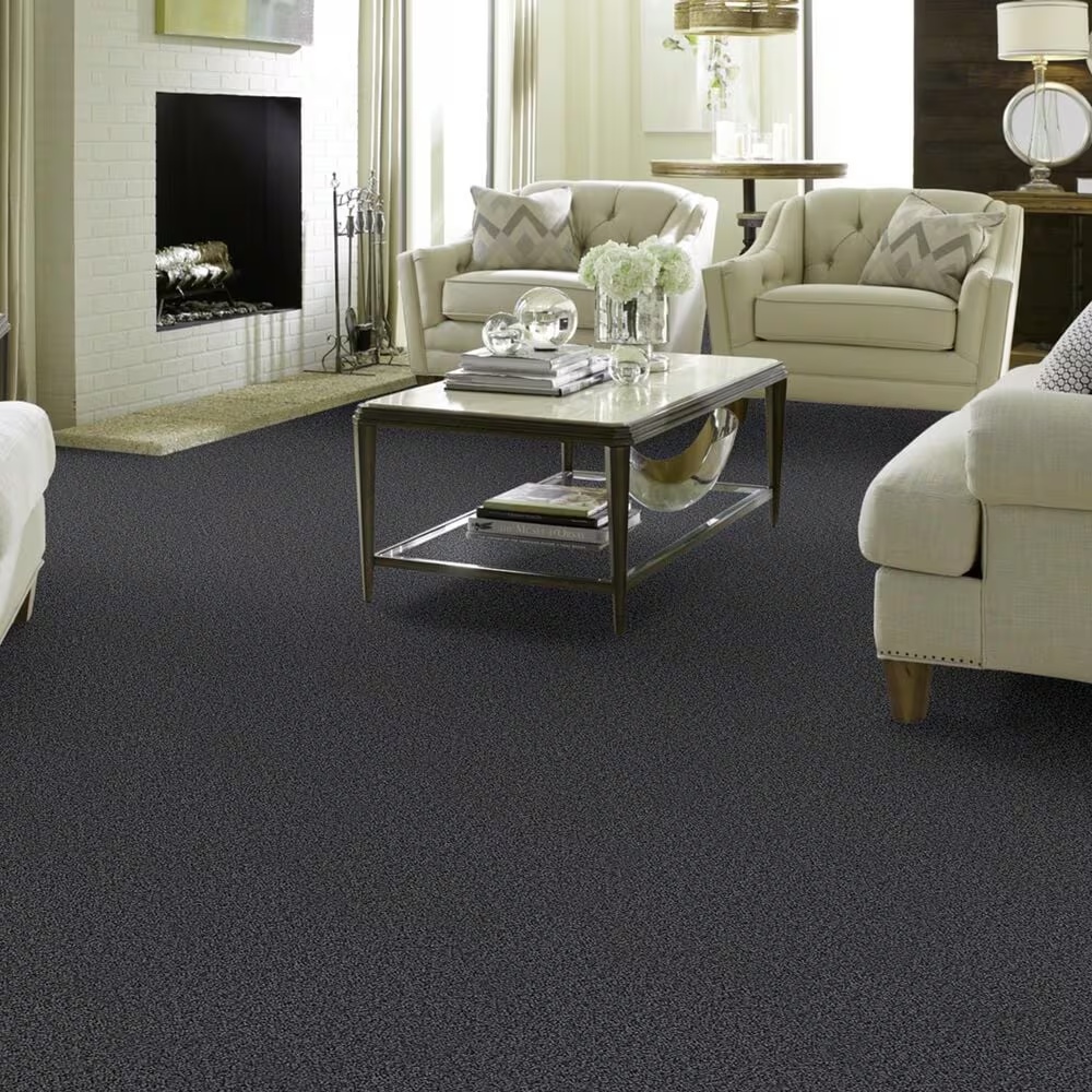 37621-shaw-foundations-take-the-floor-twist-i-carpet-in-urban-studio-1.jpg