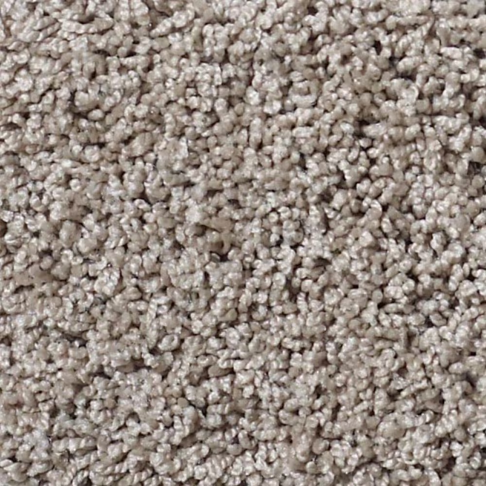 Shaw Foundations Take The Floor Twist I Carpet in Threshold