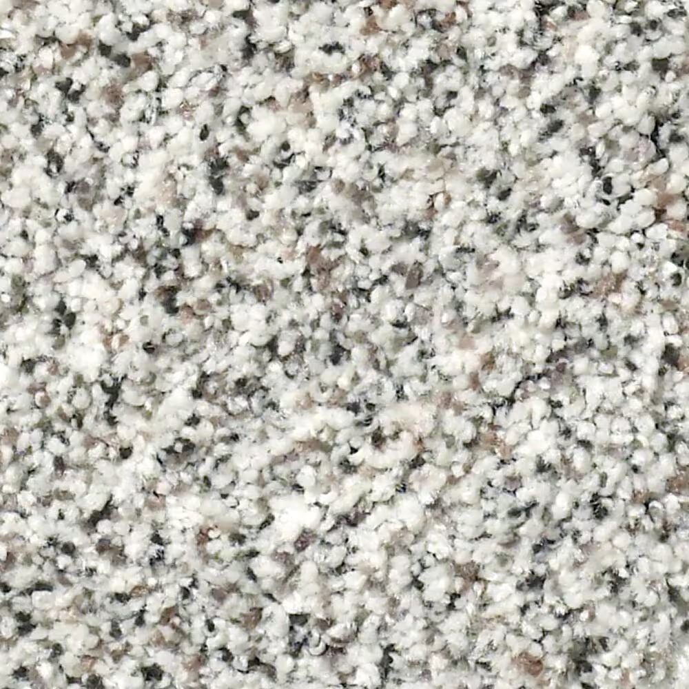 Shaw Find Your Comfort TA I Carpet in True Reality