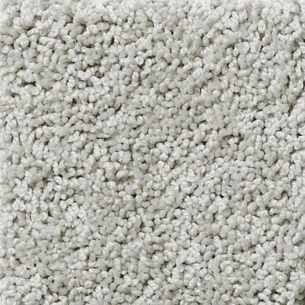 Shaw Take The Floor Twist I Carpet in Lead The Way