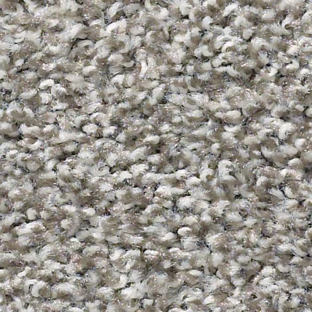Shaw Poised Carpet in Flannel Gray