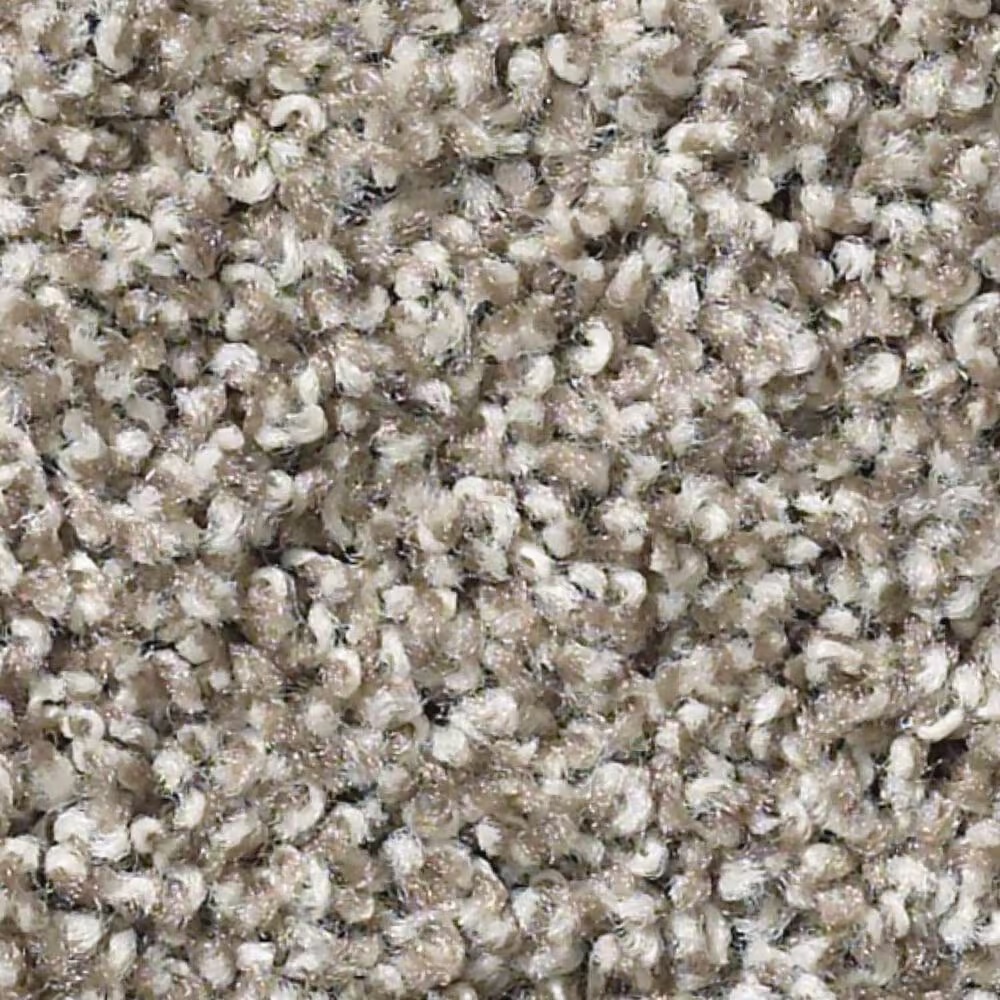 Shaw Poised Carpet in Studio Loft