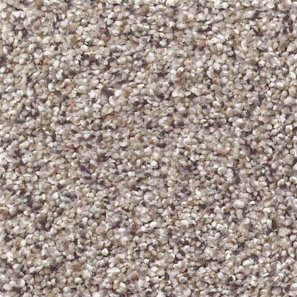 Shaw Foundations Take The Floor Accent II Carpet in Cold Springs