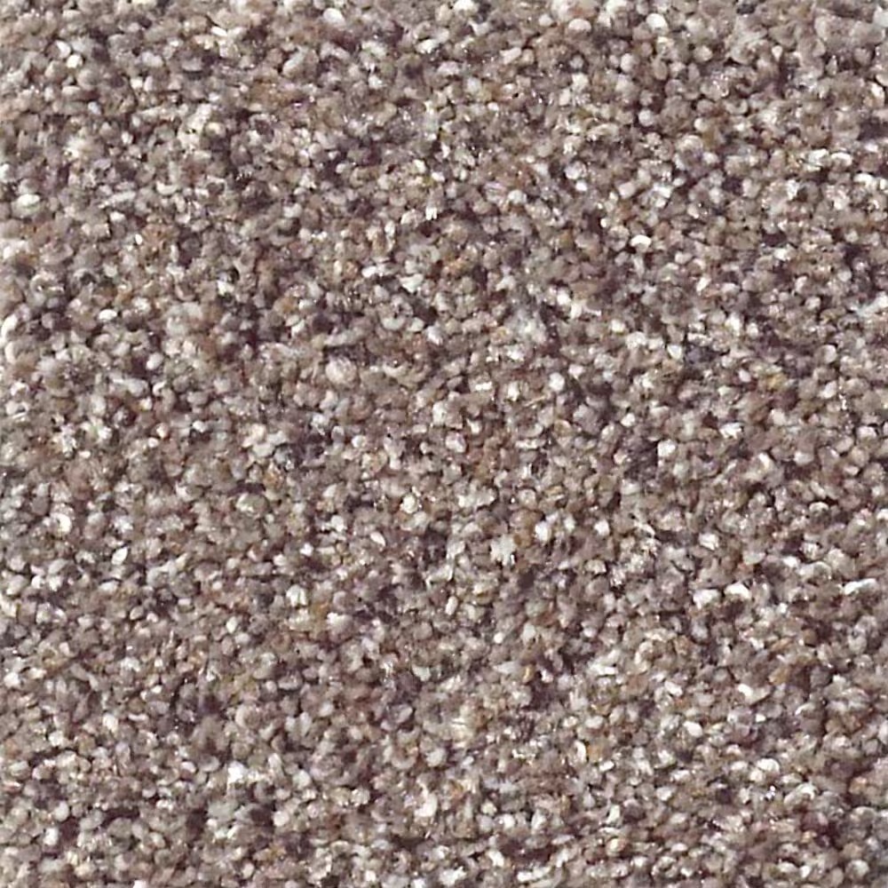 Shaw Foundations Take The Floor Accent II Carpet in Storm