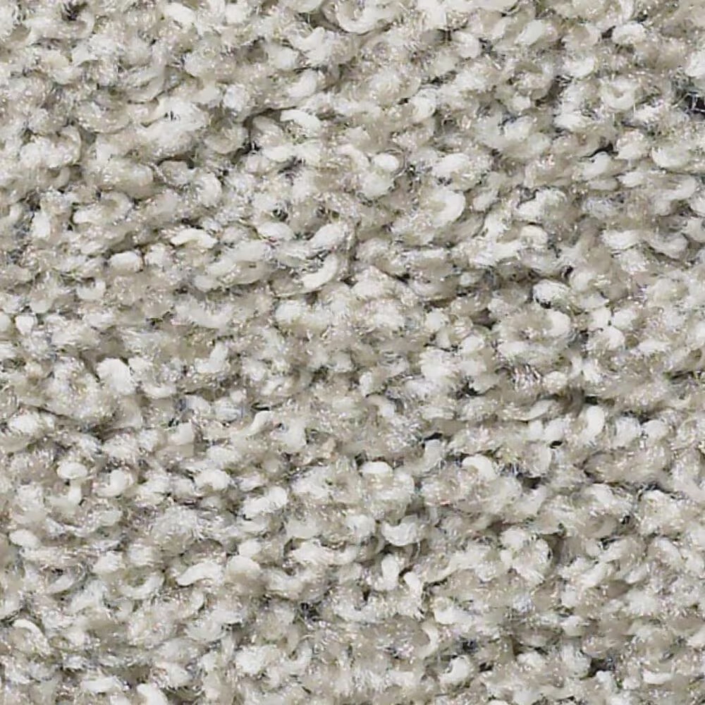 Shaw Poised Carpet in Winter Birch