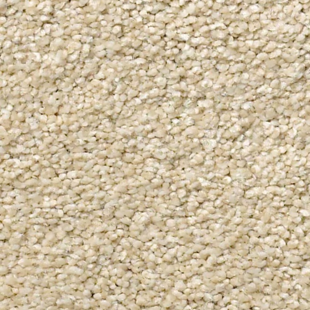 Shaw Find Your Comfort NS Blue Carpet in Sun Kissed