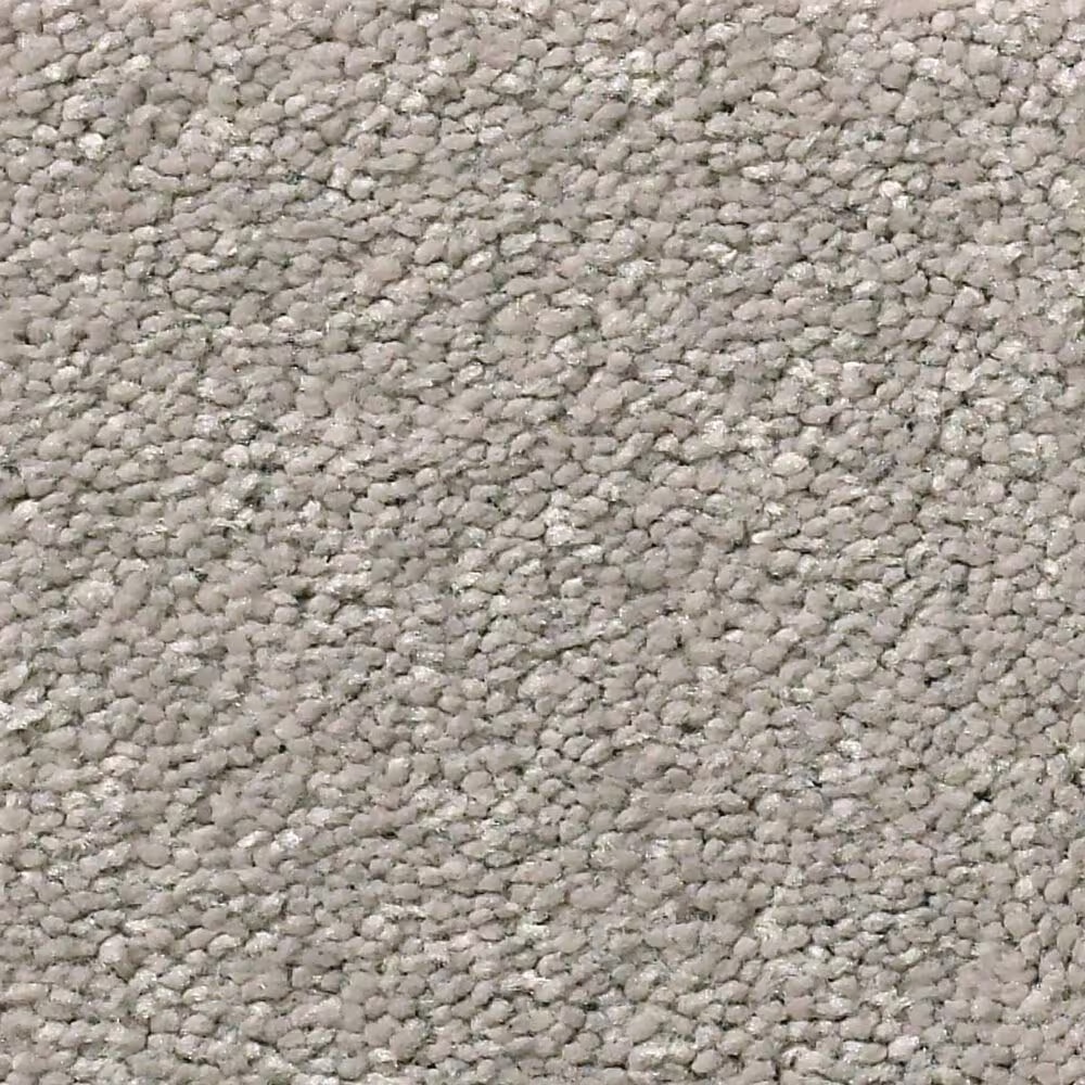 Shaw Simply the Best Momentum I Carpet in Canopy