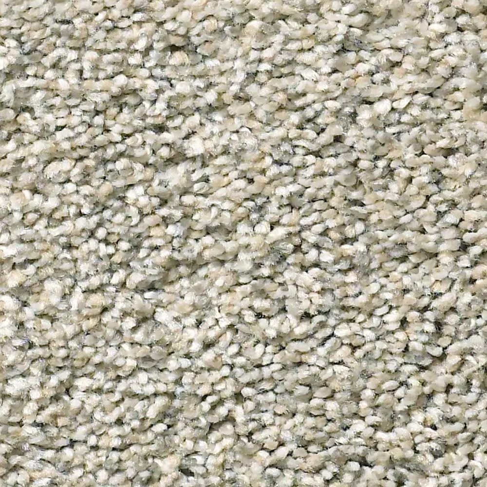 Shaw Simply the Best Momentum I Carpet in Mystical Cream