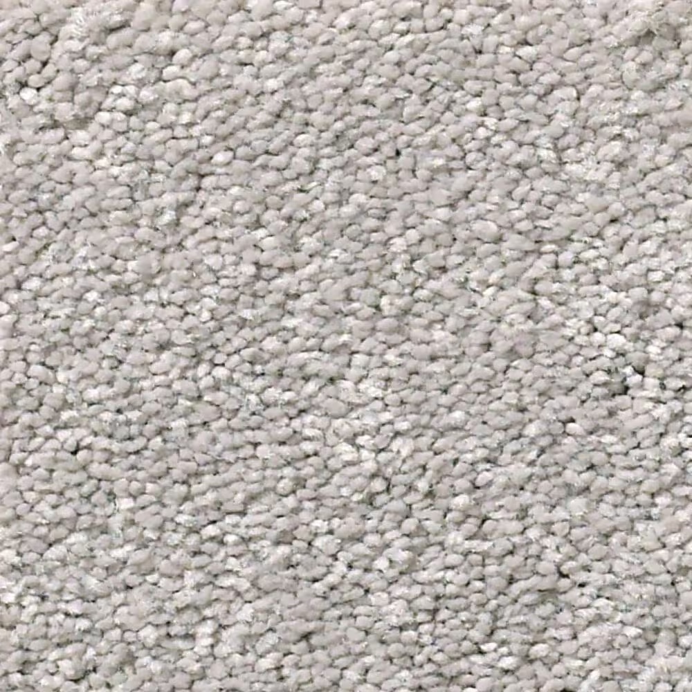 Shaw Simply the Best Momentum I Carpet in Subtle Touch