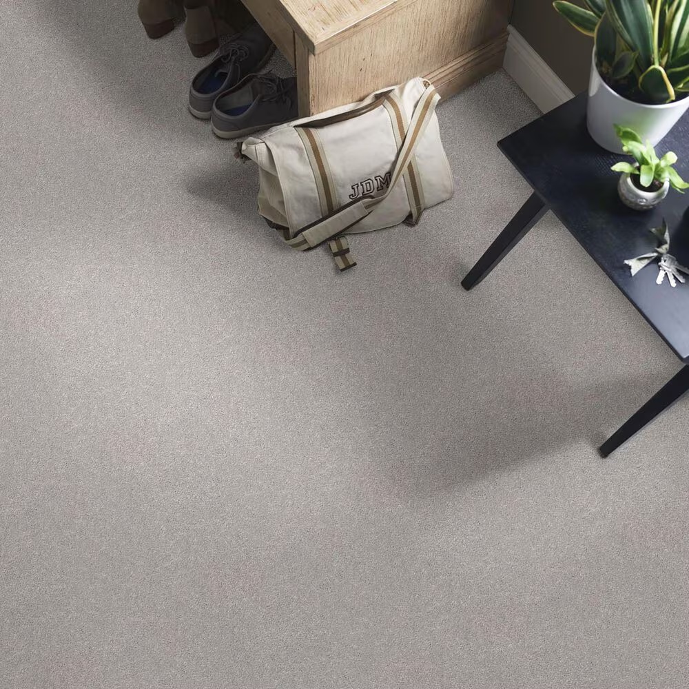 37677-shaw-simply-the-best-momentum-i-carpet-in-subtle-touch-1.jpg