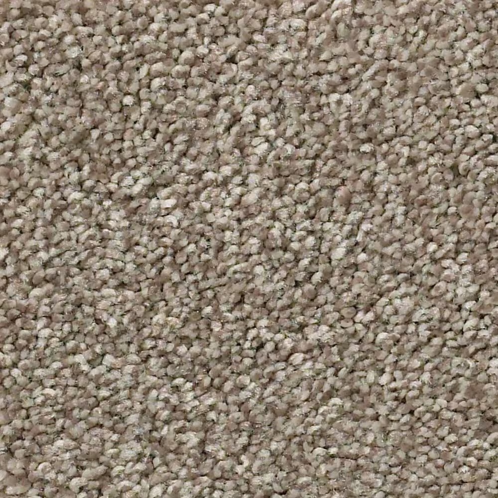 Shaw Simply the Best Momentum I Carpet in Hickory Manor