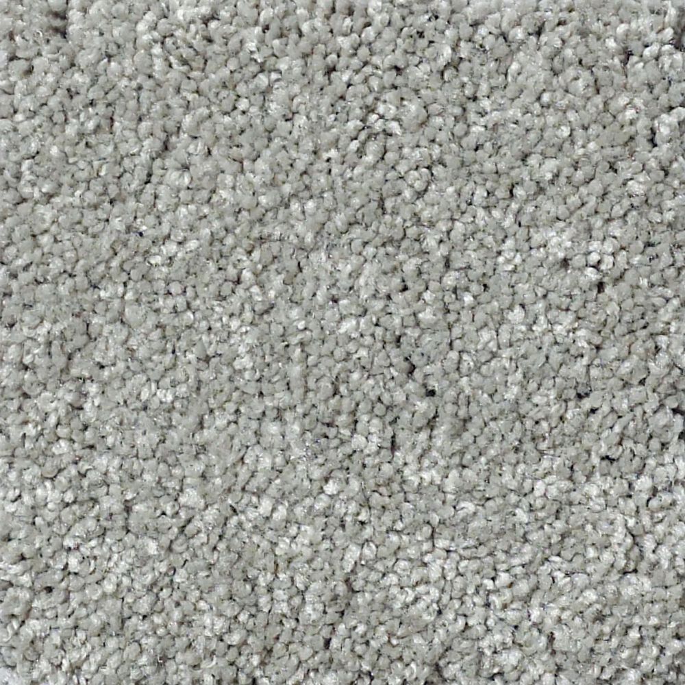 Shaw Foundations Take The Floor Texture II Carpet in Flint
