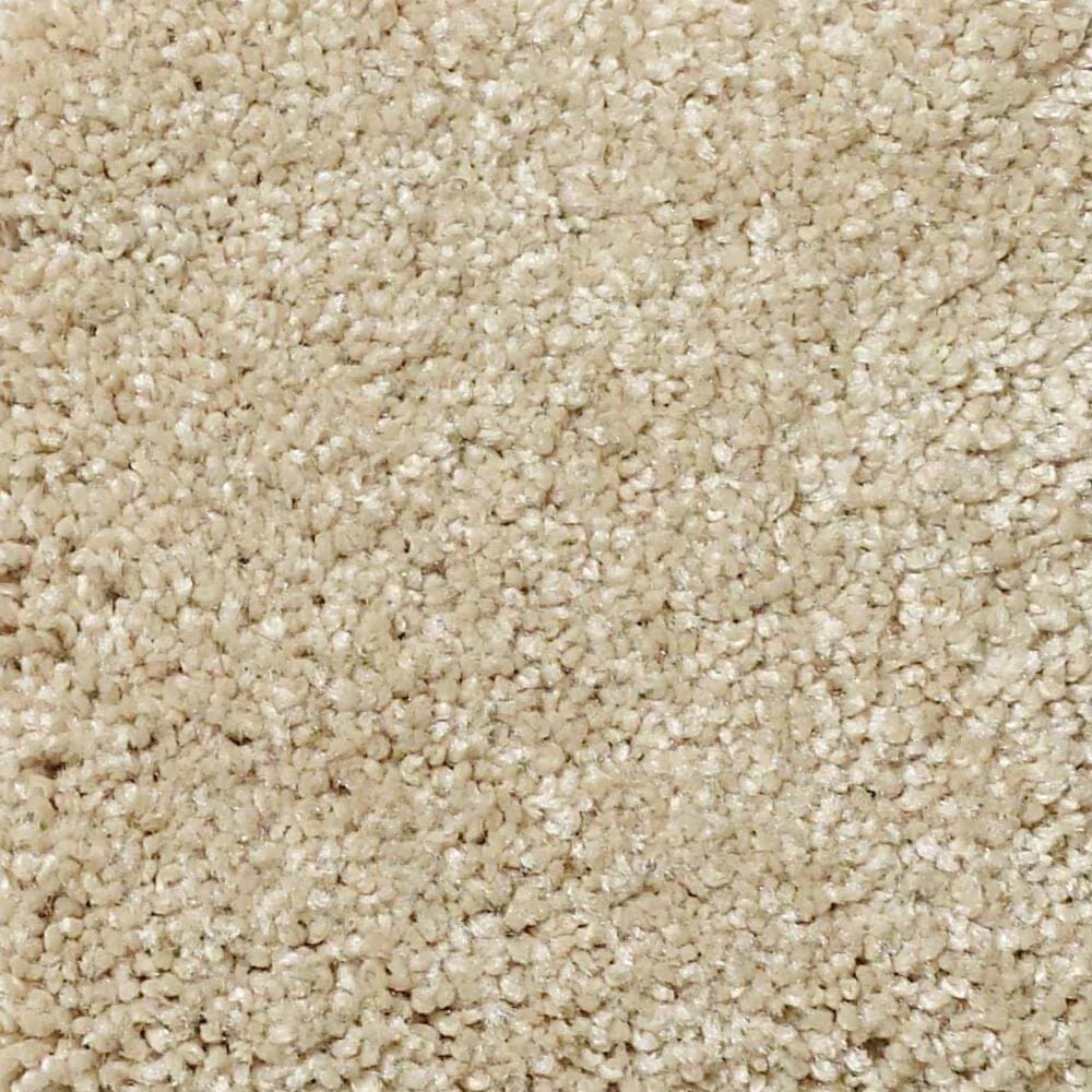 Shaw Foundations Take The Floor Texture II Carpet in Hazelnut