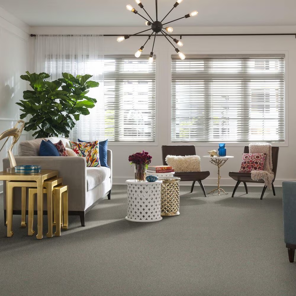 37694-shaw-simply-the-best-momentum-i-carpet-in-moondance-1.jpg