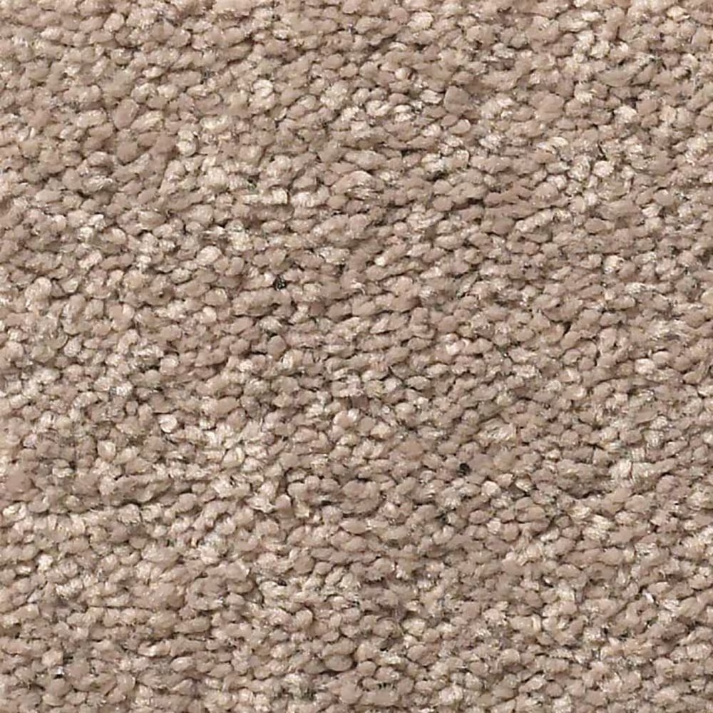 Shaw Simply the Best Momentum I Carpet in Canyon Buff