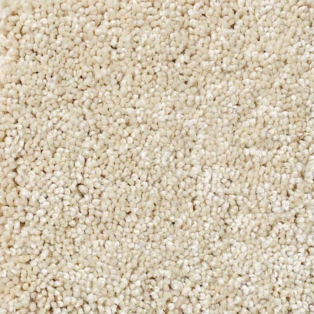 Shaw Foundations Take The Floor Texture II Carpet in Restoration