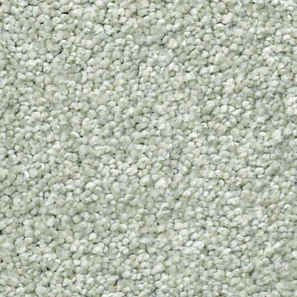 Shaw Find Your Comfort NS Blue Carpet in Willow Tree