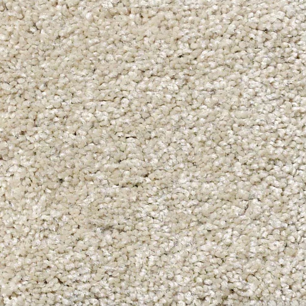Shaw Foundations Take The Floor Texture II Carpet in Suitable