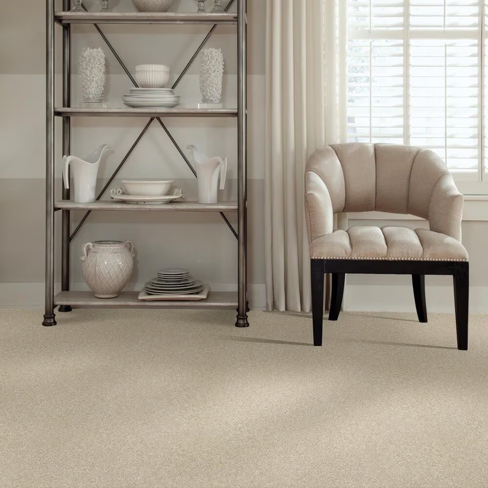 37711-shaw-foundations-take-the-floor-texture-ii-carpet-in-suitable-1.jpg