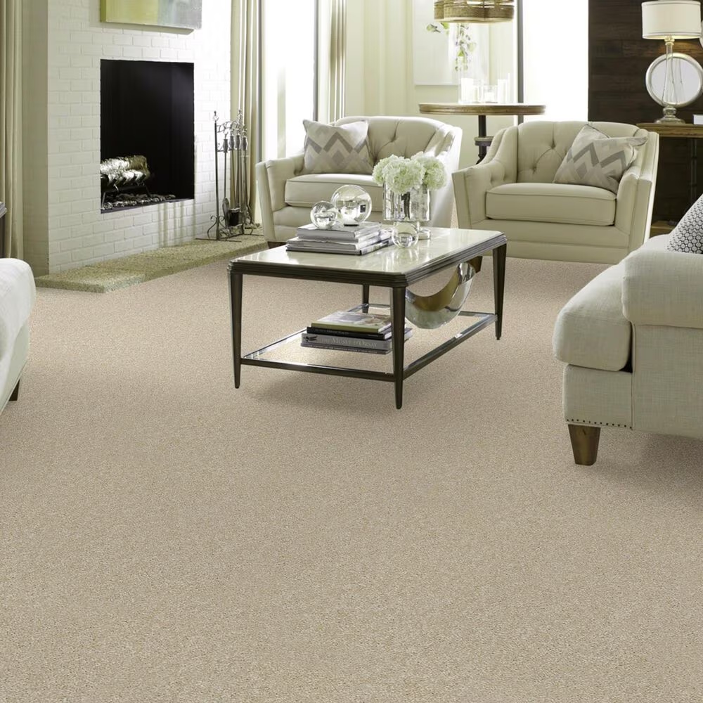 37711-shaw-foundations-take-the-floor-texture-ii-carpet-in-suitable-1.jpg