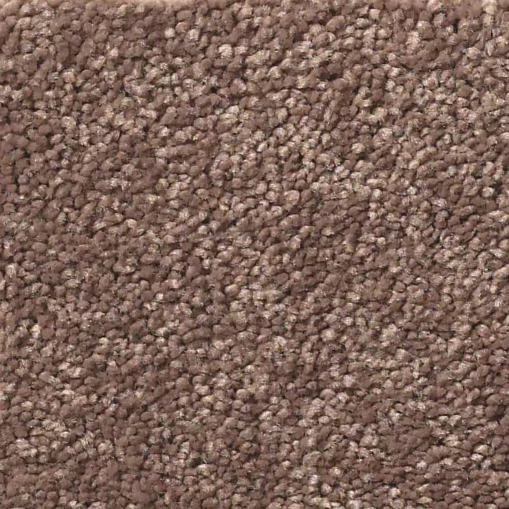 Shaw Simply the Best Momentum I Carpet in Farmhouse
