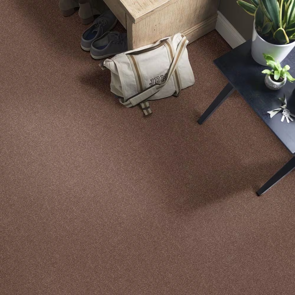 37719-shaw-simply-the-best-momentum-i-carpet-in-farmhouse-1.jpg