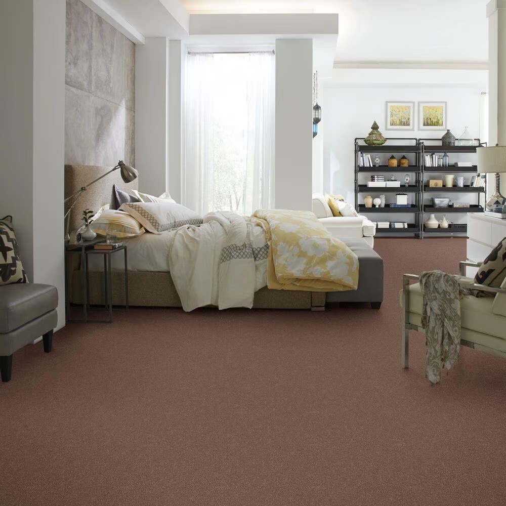 37719-shaw-simply-the-best-momentum-i-carpet-in-farmhouse-1.jpg