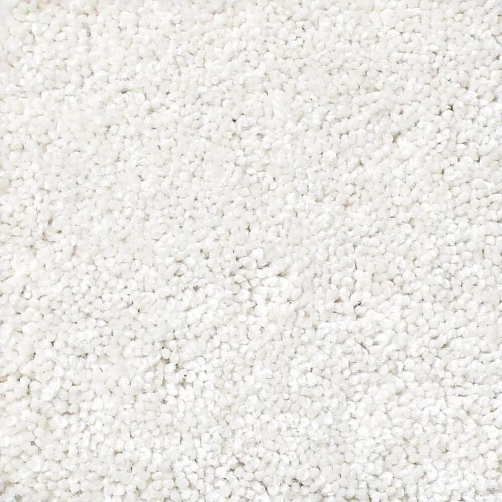 Shaw Foundations Take The Floor Texture II Carpet in Paradise