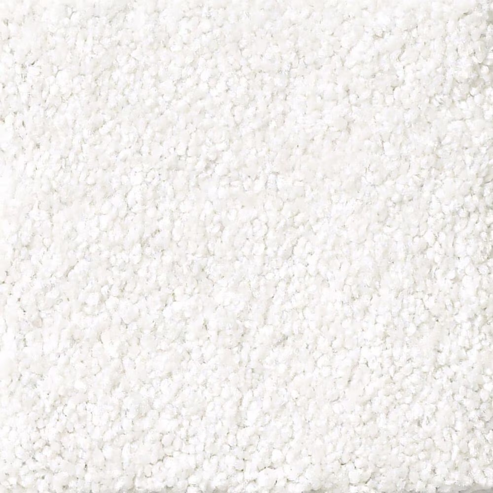 Shaw Foundations Take The Floor Texture II Carpet in White Hot
