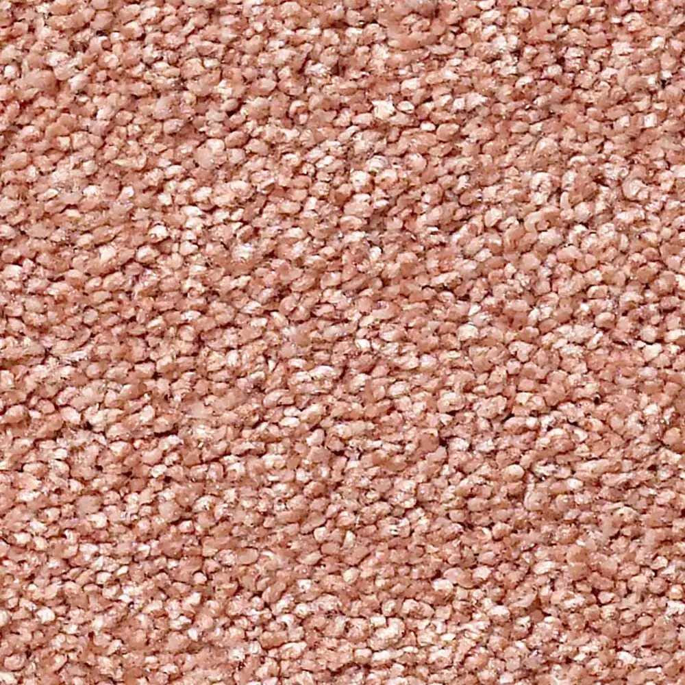 Shaw Find Your Comfort NS Blue Carpet in Open The Rose