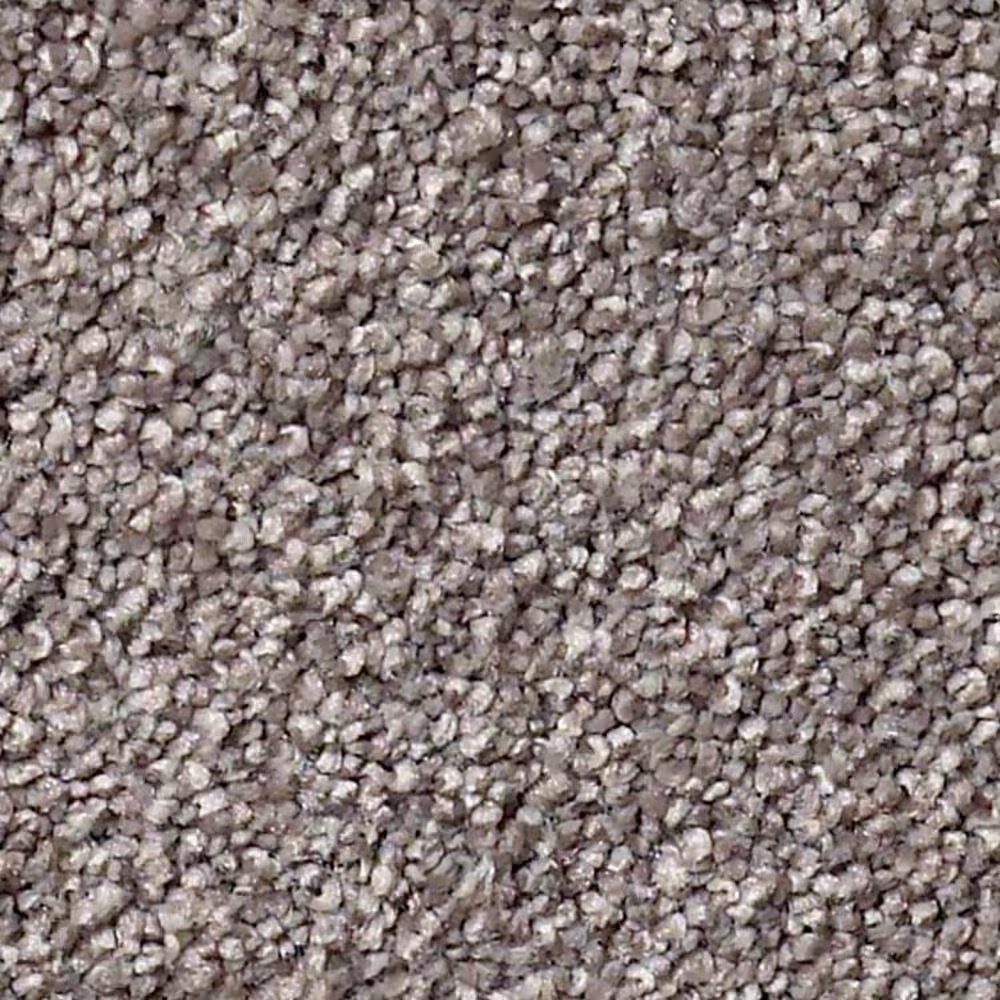 Shaw Find Your Comfort NS Blue Carpet in Lilac Field