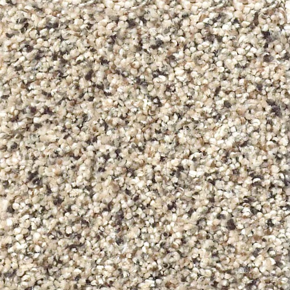Shaw Foundations Take The Floor Accent I Carpet in Luna