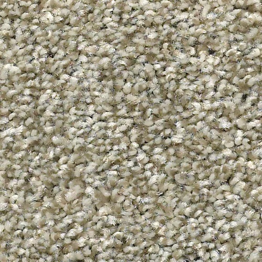 Shaw Cabana Bay Tonal Carpet in Pebble Creek