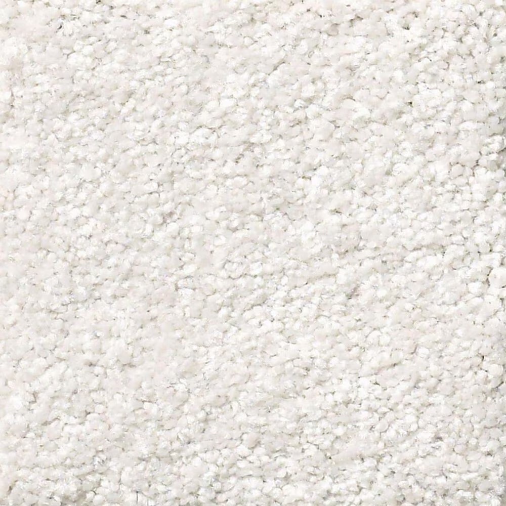 Shaw Foundations Take The Floor Texture II Carpet in Dove