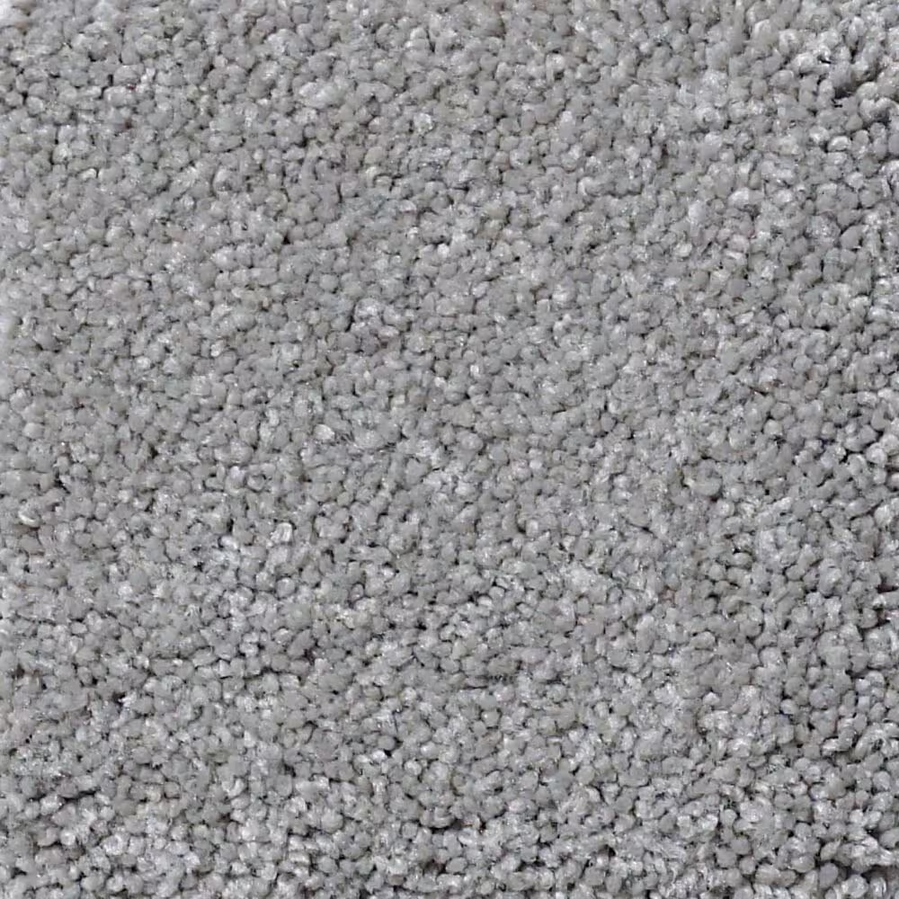 Shaw Foundations Take The Floor Texture II Carpet in Anchor